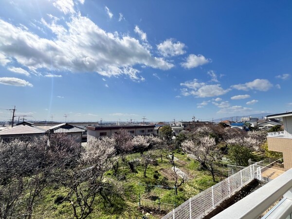 室内からの展望