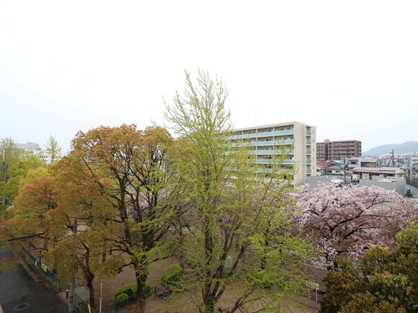 室内からの展望