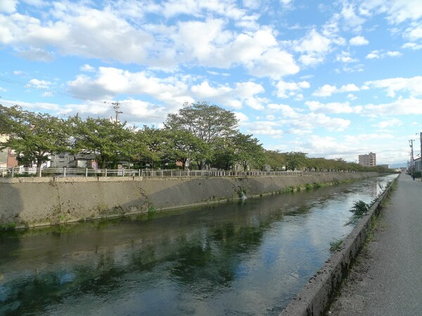 眺望(川沿いの桜並木がきれいです)