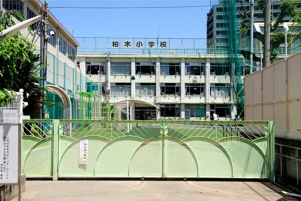 周辺環境(柏木小学校 803m)