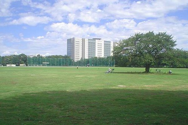 周辺環境(武蔵野中央公園 1925m)