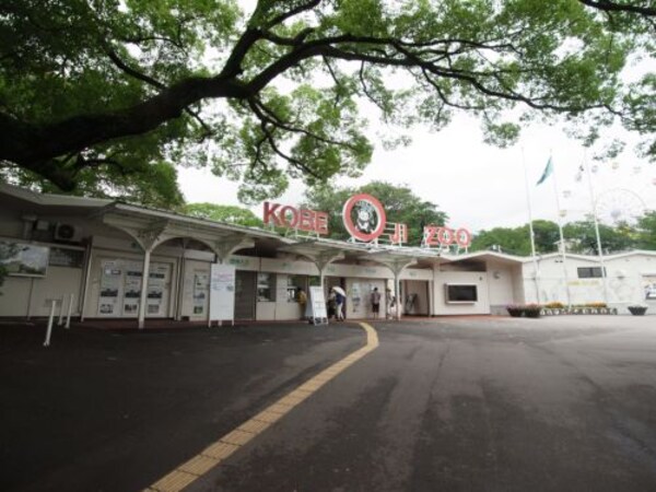 周辺環境(神戸市立王子動物園 834m)