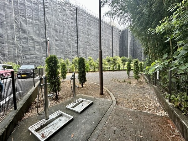 敷地内/建物(敷地内ドッグラン)