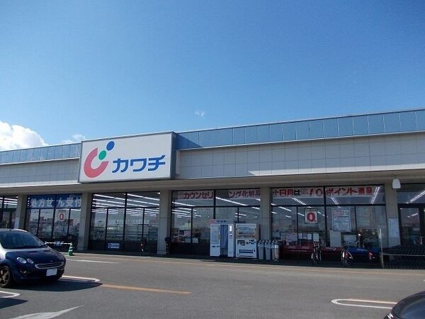 周辺環境(カワチ薬品若松原店まで800m)