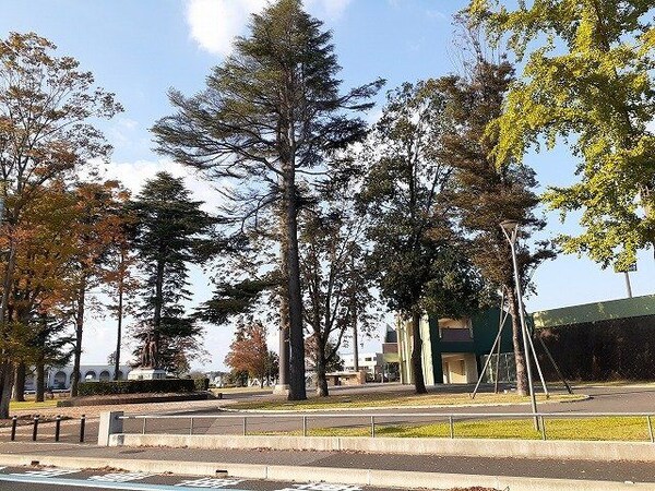 周辺環境(栃木県総合運動公園まで900m)