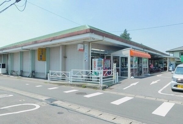 周辺環境(サンユー岩曽店まで800m)