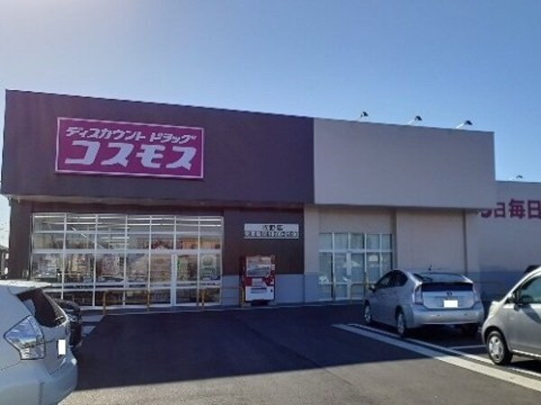 周辺環境(コスモス牧野店まで50m)