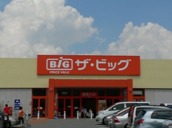 周辺環境(The Big（ザ･ビッグ） 奥田南店（879m）)