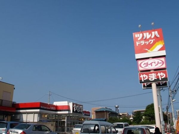 周辺環境(ツルハドラッグ 仙台上杉店（535m）)