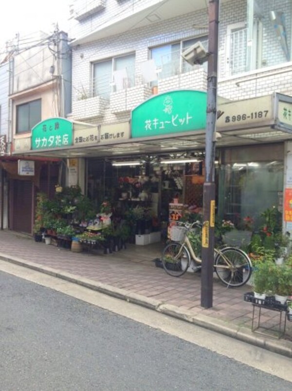 周辺環境(サカタ花店 526m)