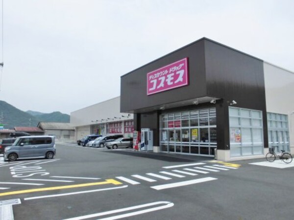 周辺環境(ドラッグストアコスモス 西脇野村店 630m)