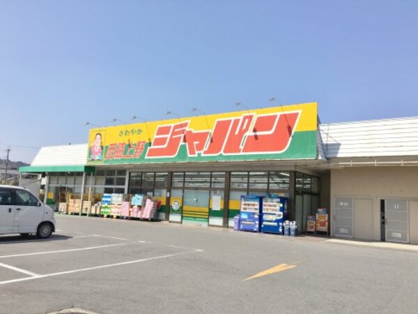 周辺環境(ジャパン 西脇上野店 1317m)