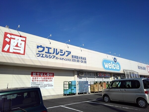 その他(ウエルシア岩瀬富士見台店まで90m)