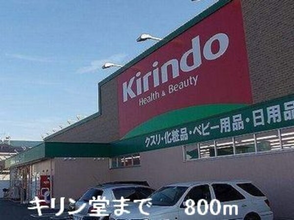 その他(キリン堂まで800m)