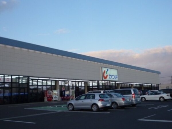 その他(カワチ薬品竜ヶ崎店まで2，206ｍ)