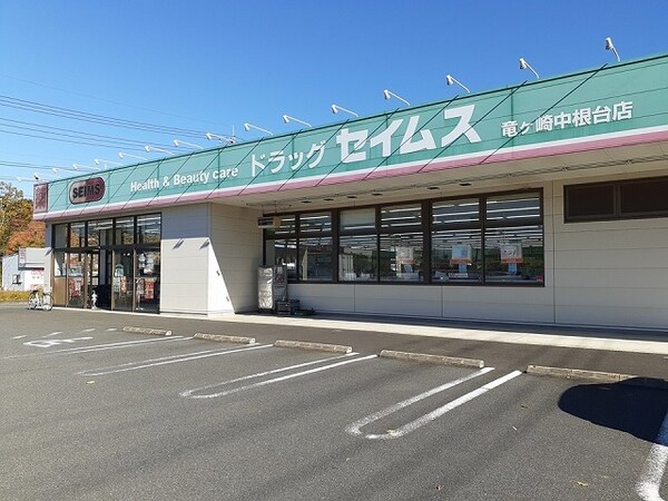 その他(ドラッグセイムス竜ヶ崎中根台店まで1400m)