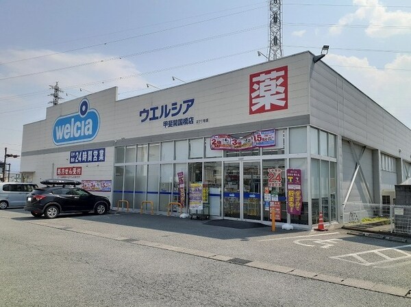 その他(ウェルシア甲斐開国橋店まで650m)