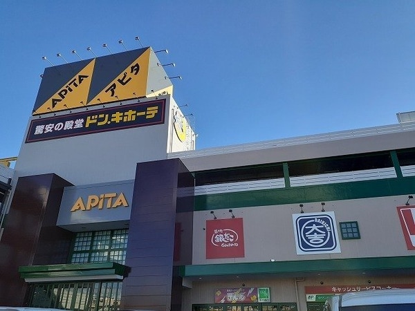 周辺環境(アピタ宇都宮店まで750m)