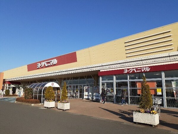 周辺環境(ヨークベニマル結城四ツ京店まで350m)