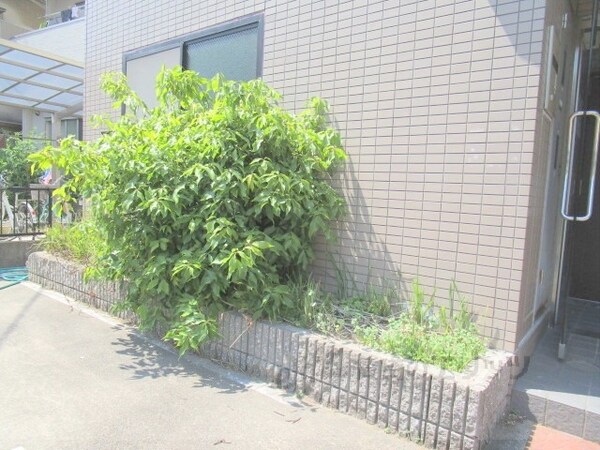 その他(植栽)