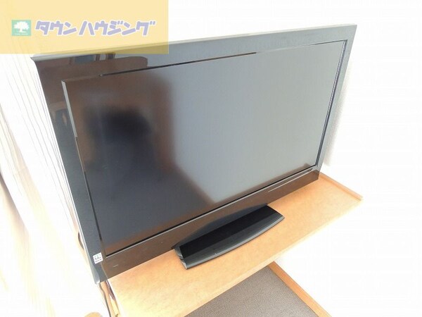 その他(テレビ)