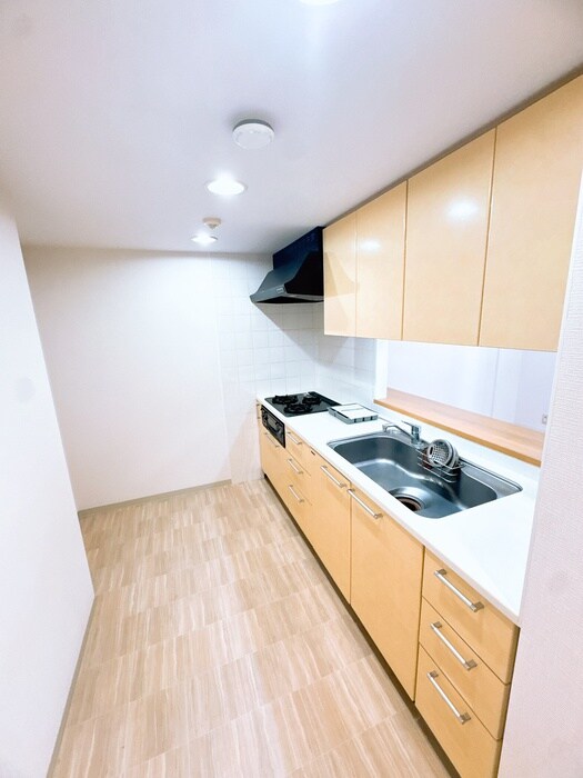 物件内観写真19　(キッチン)