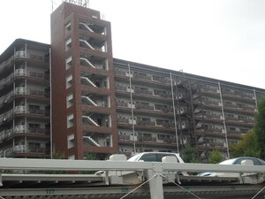 ﾗｲｵﾝｽﾞﾏﾝｼｮﾝ調布B棟(203)外観写真