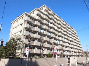 大山ﾛｰﾔﾙｺｰﾎﾟ（507）外観写真