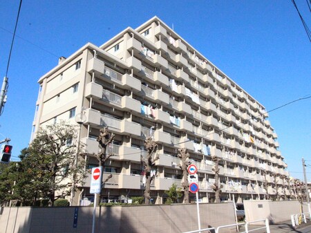 大山ﾛｰﾔﾙｺｰﾎﾟ（507）外観写真