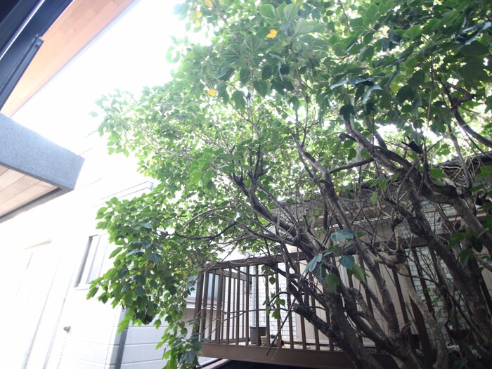 物件内観写真19　(室内からの展望)