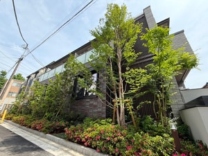 Ls　residence東中野外観写真