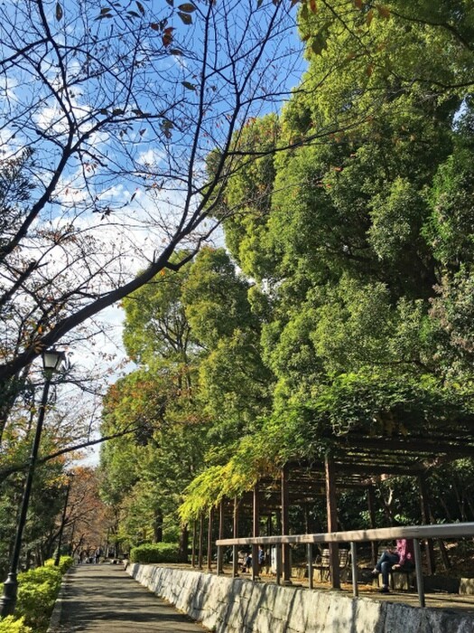 江戸川公園