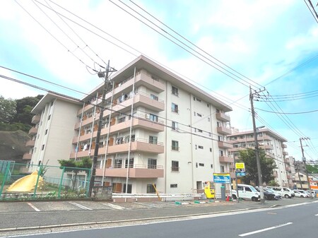 常緑ﾊｲﾂ(105)外観写真