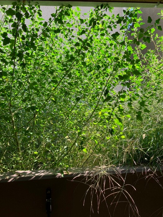 物件内観写真18　(室内からの展望)