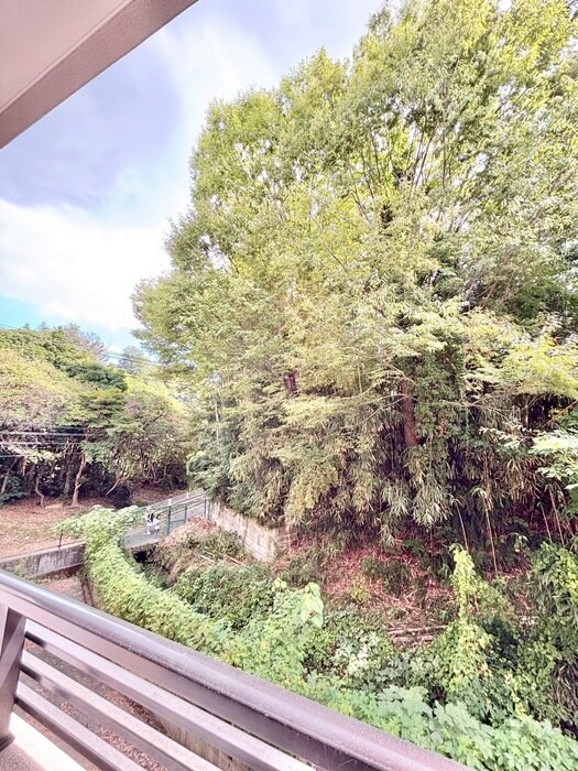 物件内観写真15　(靴箱)