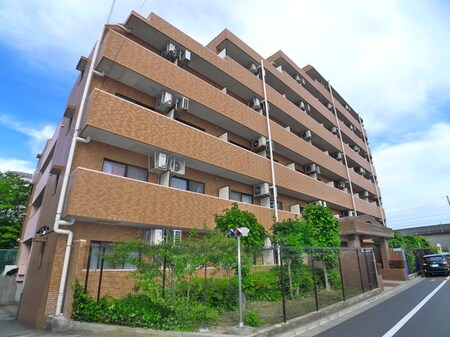 ﾗｲｵﾝｽﾞﾏﾝｼｮﾝ東新小岩(116)外観写真