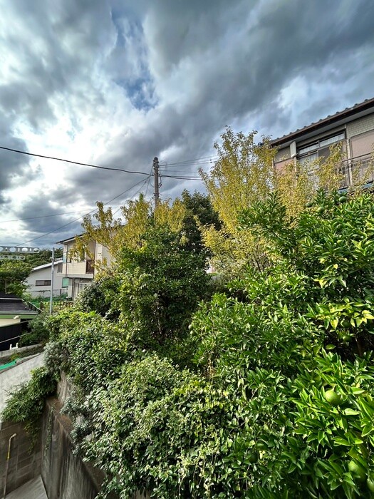 物件内観写真13　(室内からの展望)