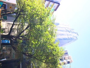 ラシクラス中村橋外観写真