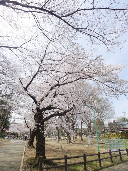 物件内観写真18　(室内からの展望)