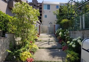 カルチェラタン桜丘外観写真