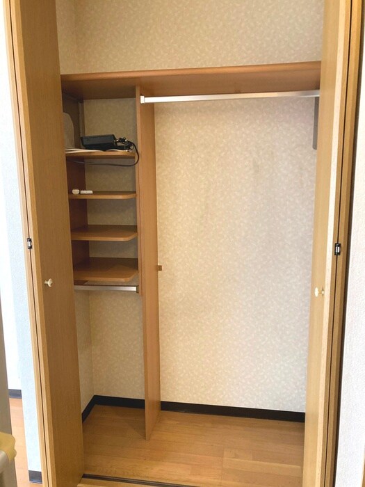 アルバティアラの収納