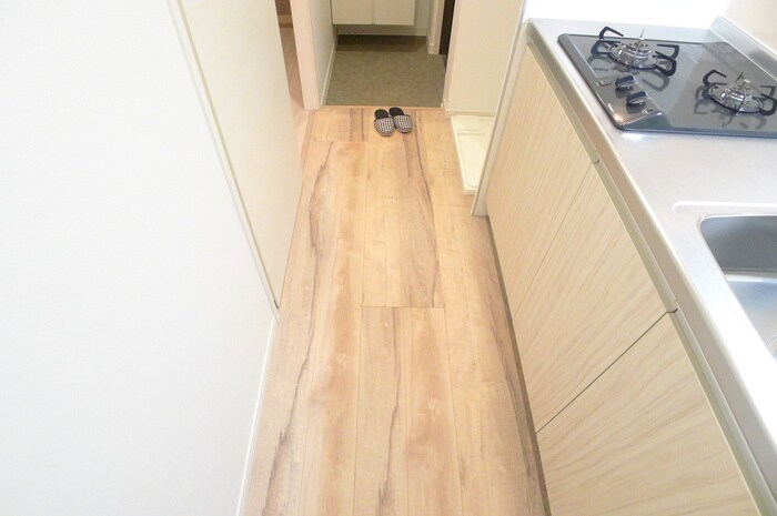 物件内観写真17　(廊下)