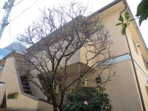 第二コ―ポ上岡外観写真