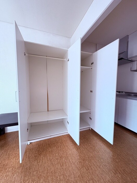 Excelﾄﾐｻﾞﾜの収納