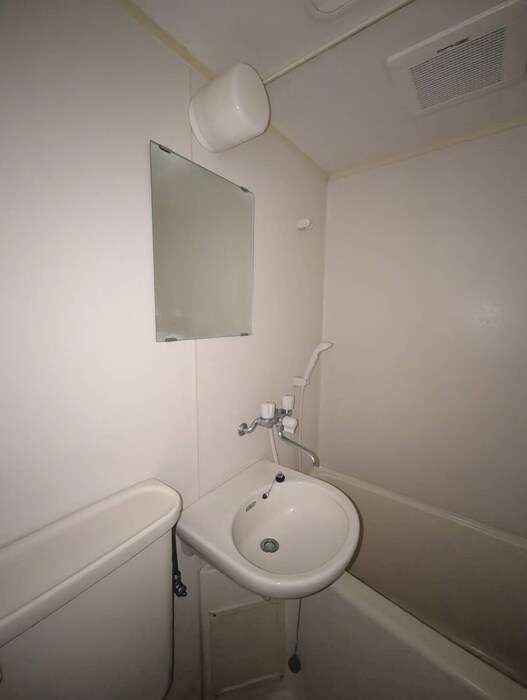 シェルティ二子の洗面