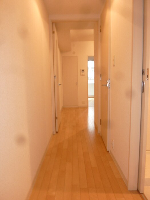 物件内観写真14　(廊下)