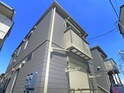 Taro`s terrace