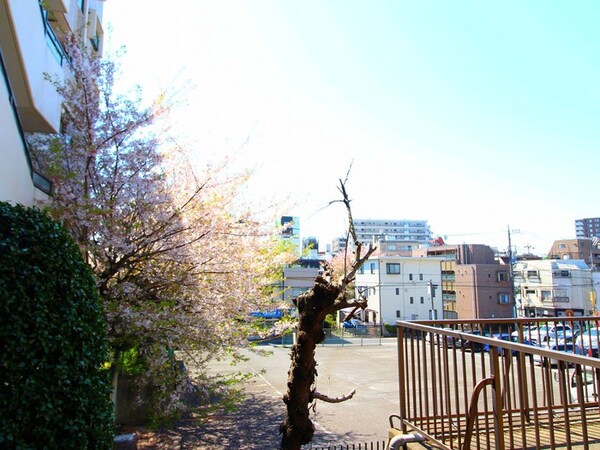 室内からの展望