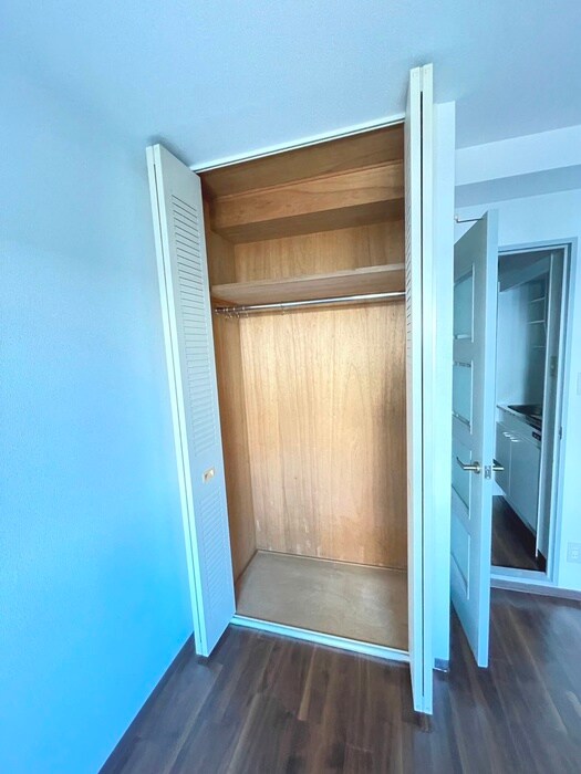 物件内観写真11　(収納)