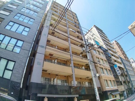 ﾊﾟﾚｽﾃｭﾃﾞｨｵ銀座(505)外観写真